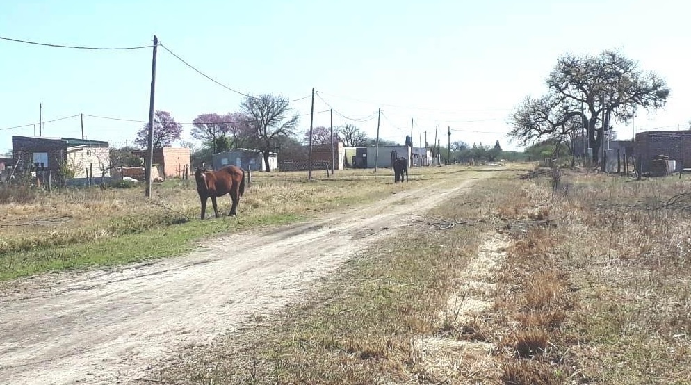 Procedimiento de Los Pumas en Vera Fortín Olmos La Gallareta