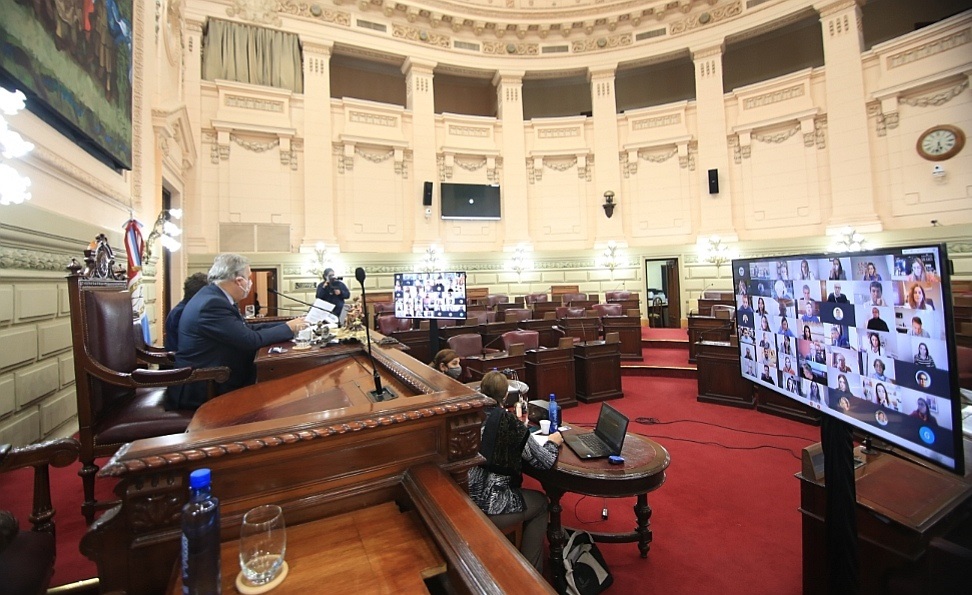 Diputados Rechaz El Veto Y La Ley De Incompatibilidad En El Mpa