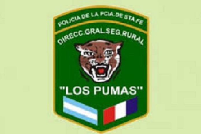 Los PUMAS