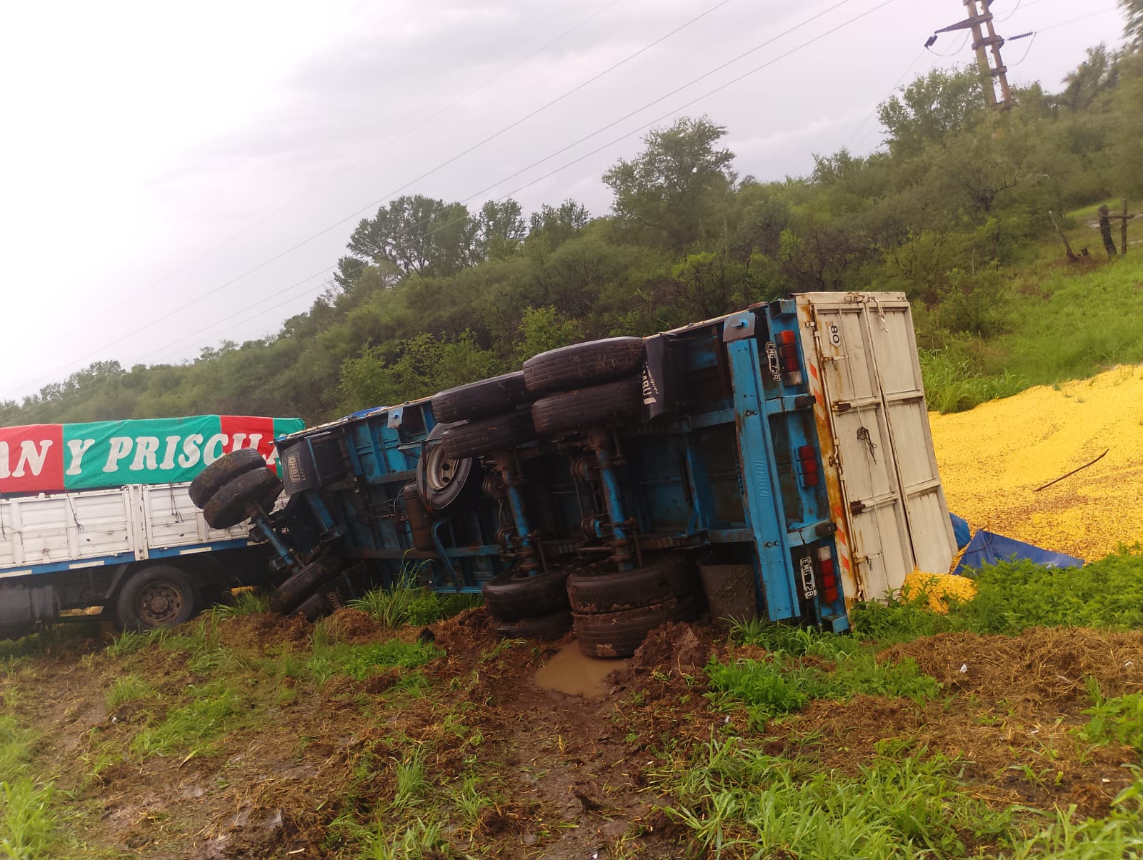 Ruta 11: un camión volcó al norte de Vera | INFO VERA