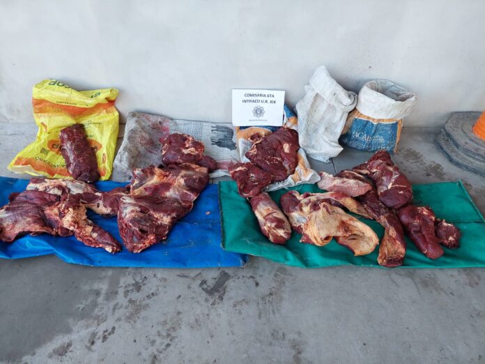 carne 1