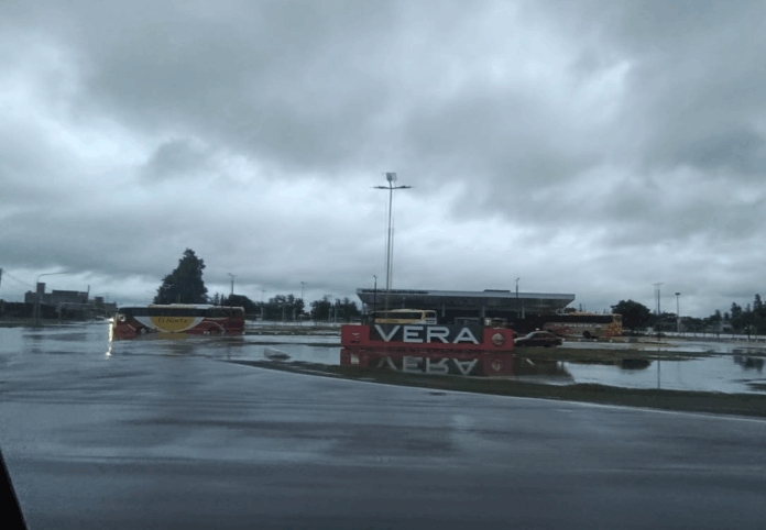 vera cole