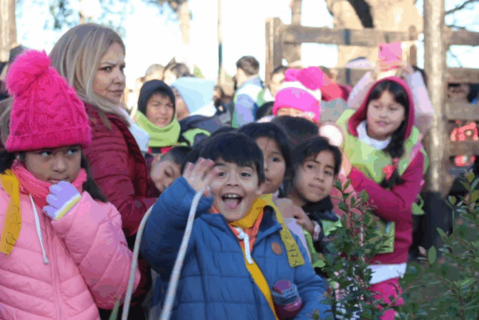 escuelas n