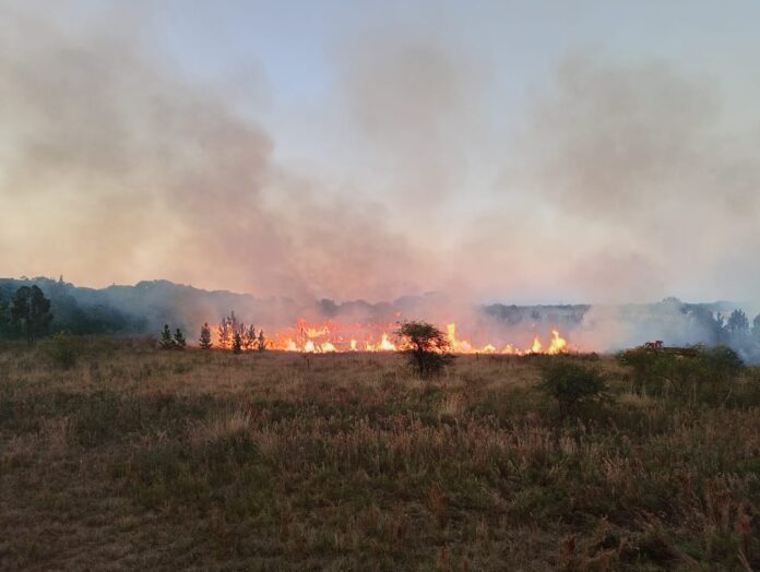 incendio reco