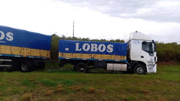 lobos