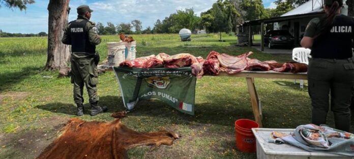 Screenshot_20251115_143721_WhatsApp