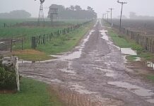 Datos de lluvia de toda la región