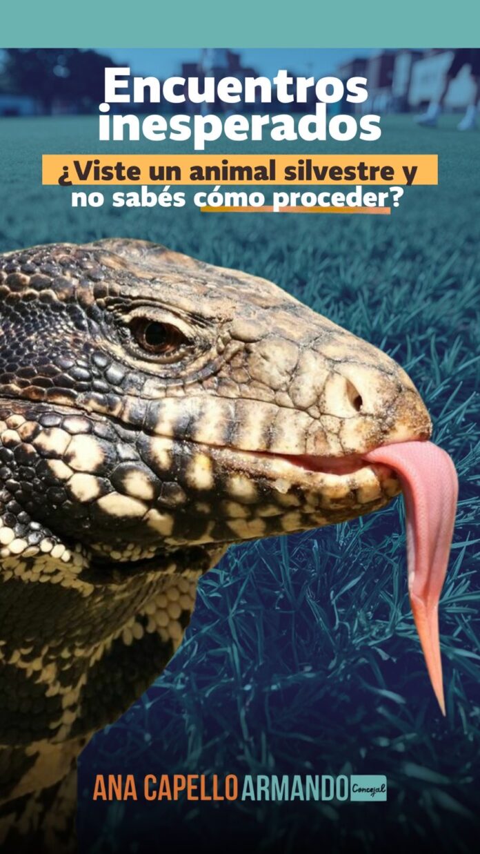 94a60569-24aa-4b44-ac2f-77d949a9fa77