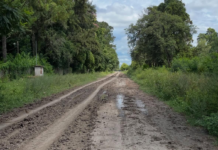 La reflexión de Eliana Tedini por el Día Internacional de la Mujer