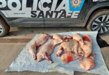 Intiyaco: secuestraron especies silvestres a tres cazadores locales