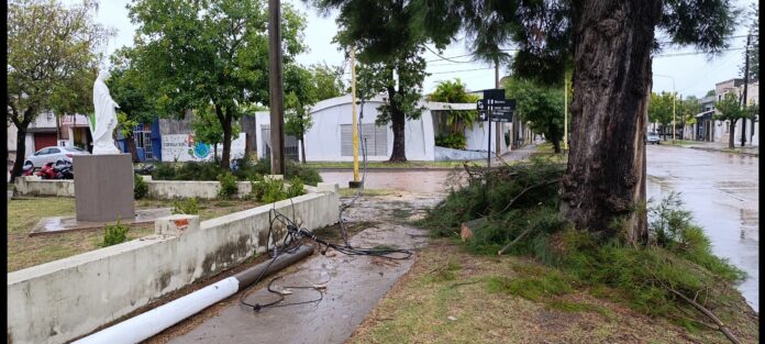 Screenshot_2026-03-03-10-45-39-152_com.miui.gallery