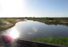 El Rabón: hallaron sin vida a un hombre tras desaparecer en un afluente del río Paraná