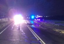 Un motociclista resultó herido tras chocar con un perro en la Ruta 11