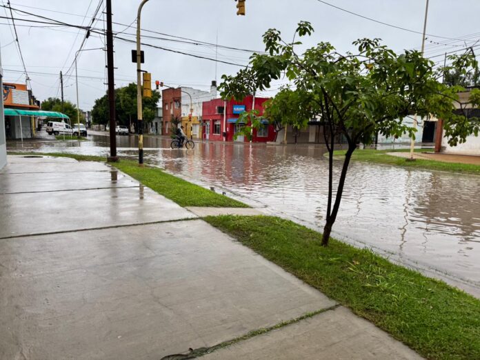 WhatsApp Image 2026-04-06 at 5.52.16 PM (1)