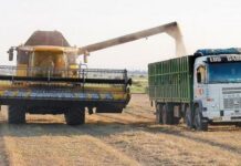 En el norte, el transporte ya se lleva hasta un tercio del valor del trigo, maíz y sorgo