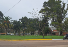 El municipio retiró los vehículos nuevos de La Estación