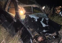Intiyaco: una camioneta chocó contra un caballo en ruta 3 y hay 4 heridos