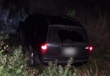 Malabrigo: un auto chocó contra un perro en ruta 11 y sus 3 ocupantes fueron atendidos en el samco