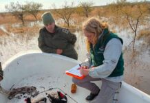 Cómo fue el operativo contra guías truchos y cazadores franceses en Fortín Olmos