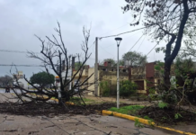 EPE trabaja para reponer el servicio en el noreste provincial