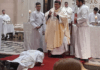 El verense David Herman fue ordenado sacerdote por el obispo Macín