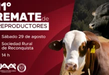 La UAA realizará su 11° Remate Anual de Reproductores en la Sociedad Rural de Reconquista
