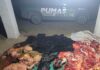 Los Pumas detuvieron a 6 personas y secuestraron 300 kilos de carne vacuna