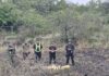 Berna: ahora secuestraron 26 panes de droga frente a Barrio El Palmar