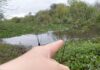 Cañada Ombú: detectaron serios problemas en el Canal del Inglés