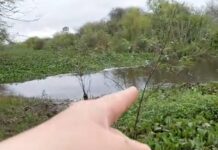 Cañada Ombú: técnicos de Recursos Hídricos detectaron serios problemas en el Canal del Inglés