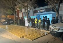 Hallaron más de 940 kilos de marihuana ocultos junto a un campo en Berna