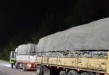 Calchaquí: demoraron a un camionero que trasportaba carbón sin guía forestal