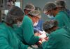 Santa Fe alcanzó un récord histórico de 100 donantes de órganos
