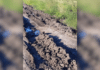 Cañada Ombú: un productor reclama medidas por el deterioro de caminos rurales