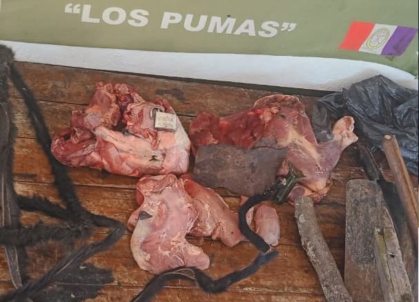 carne