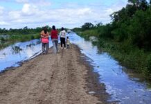 Rojas propone ampliar las bonificaciones del Inmobiliario Rural para 2027